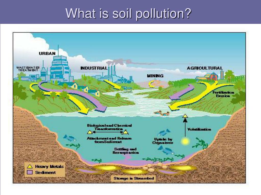 Soil Pollution Types