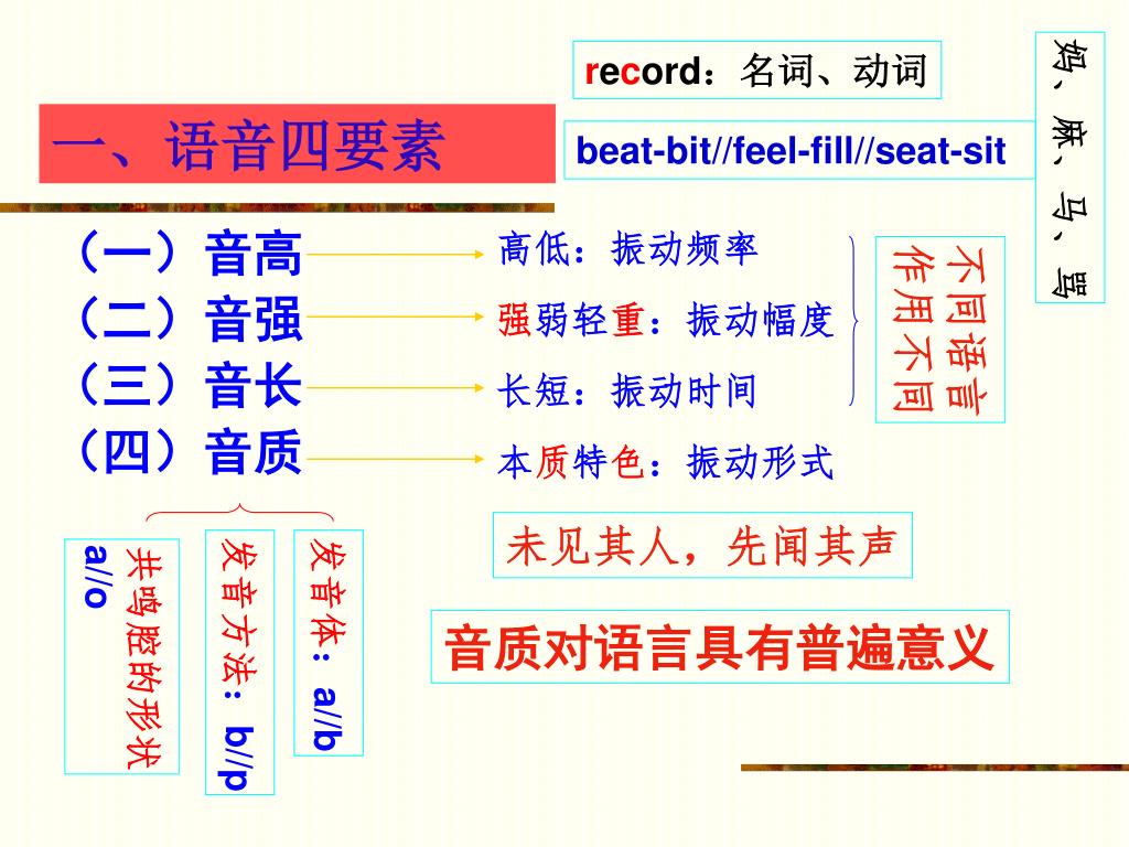 Ppt 第三章语音 语言结构之一powerpoint Presentation Id