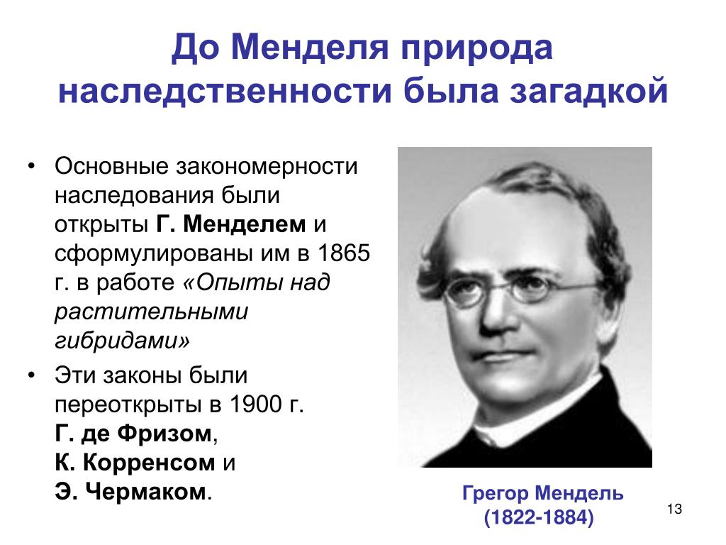 Основные закономерности наследственности впервые установил. Основные закономерности наследования. Закономерности наследственности Менделя. Основные закономерности наследования были открыты. Основные закономерности наследования Менделя.