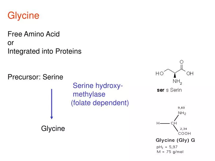 PPT Glycine Free Amino Acid or Integrated into Proteins Precursor
