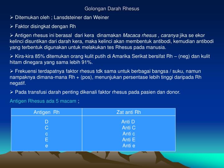 PPT - GOLONGAN DARAH PowerPoint Presentation - ID:4350302