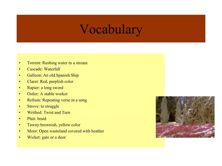 vocabulary n.