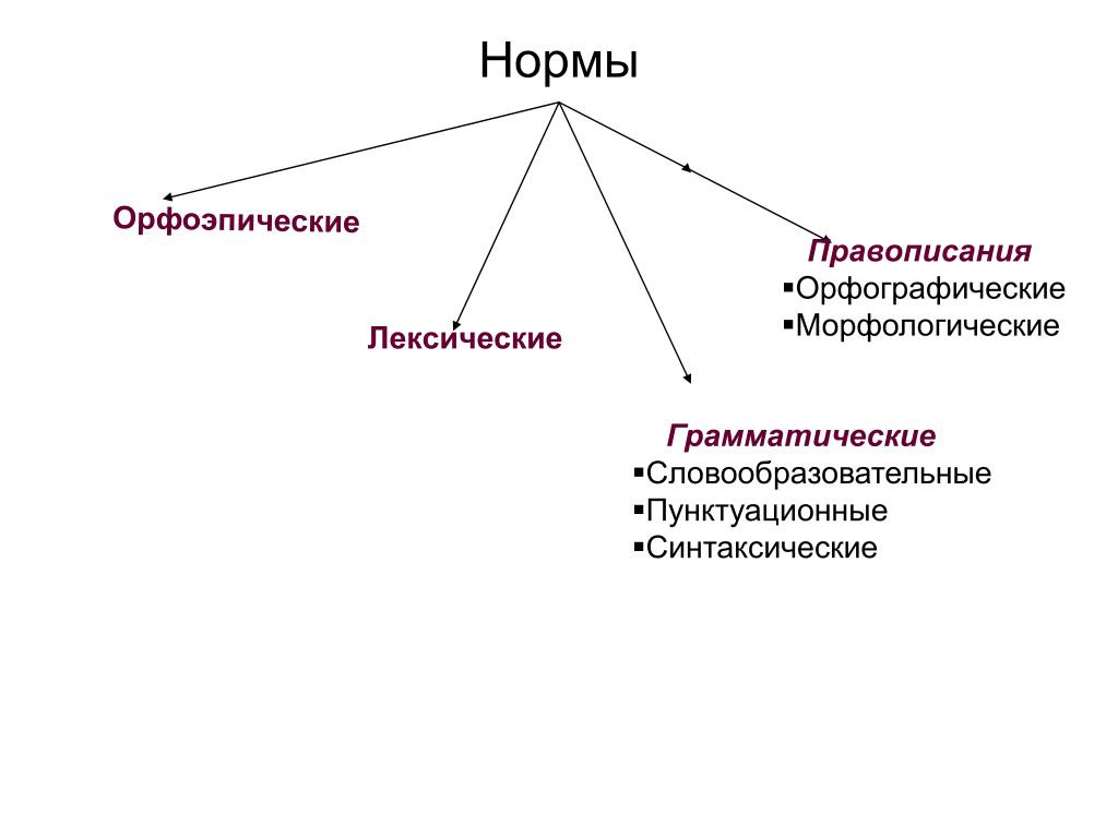 Нормы русского языка грамматические лексические