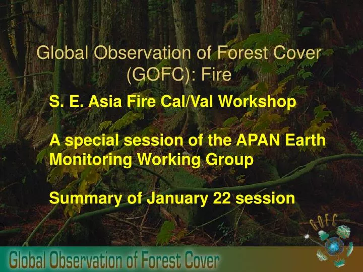 global observation of forest cover gofc fire n.