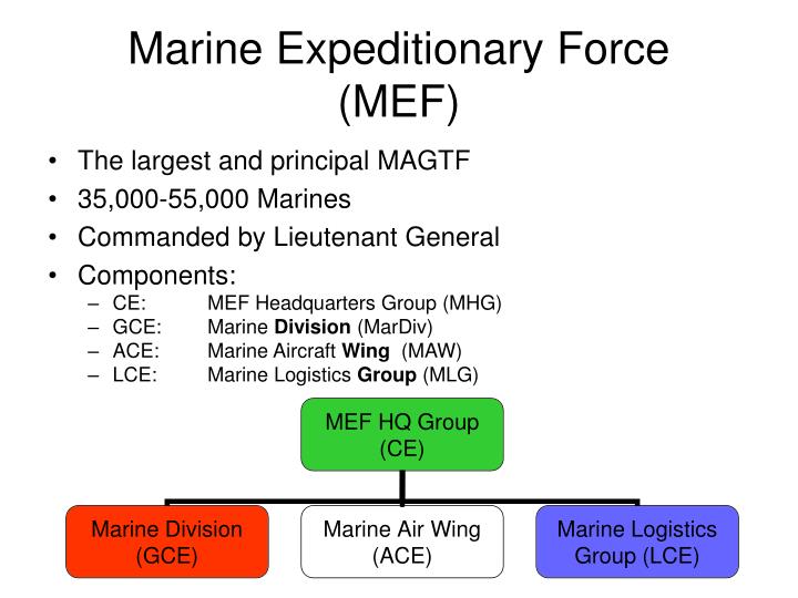 PPT Basic Organization PowerPoint Presentation ID4359619
