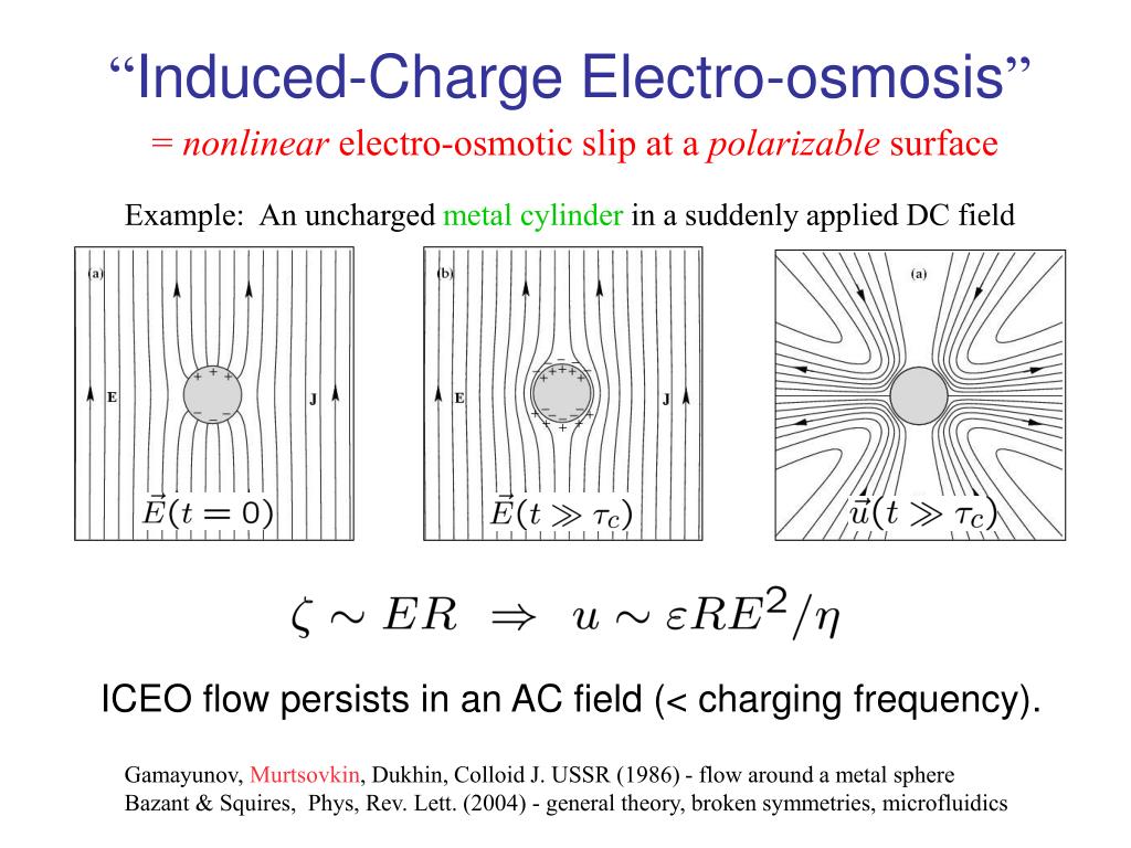 PPT - Induced-Charge Electrokinetic Phenomena PowerPoint Presentation ...