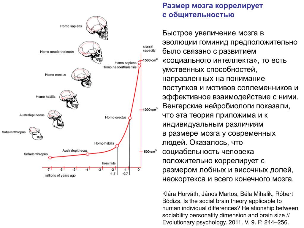 Эволюция размера мозга. Средний объем мозга современного человека. Объем мозга в процессе эволюции. Эволюция человека объем мозга. Размер мозга человека Эволюция.