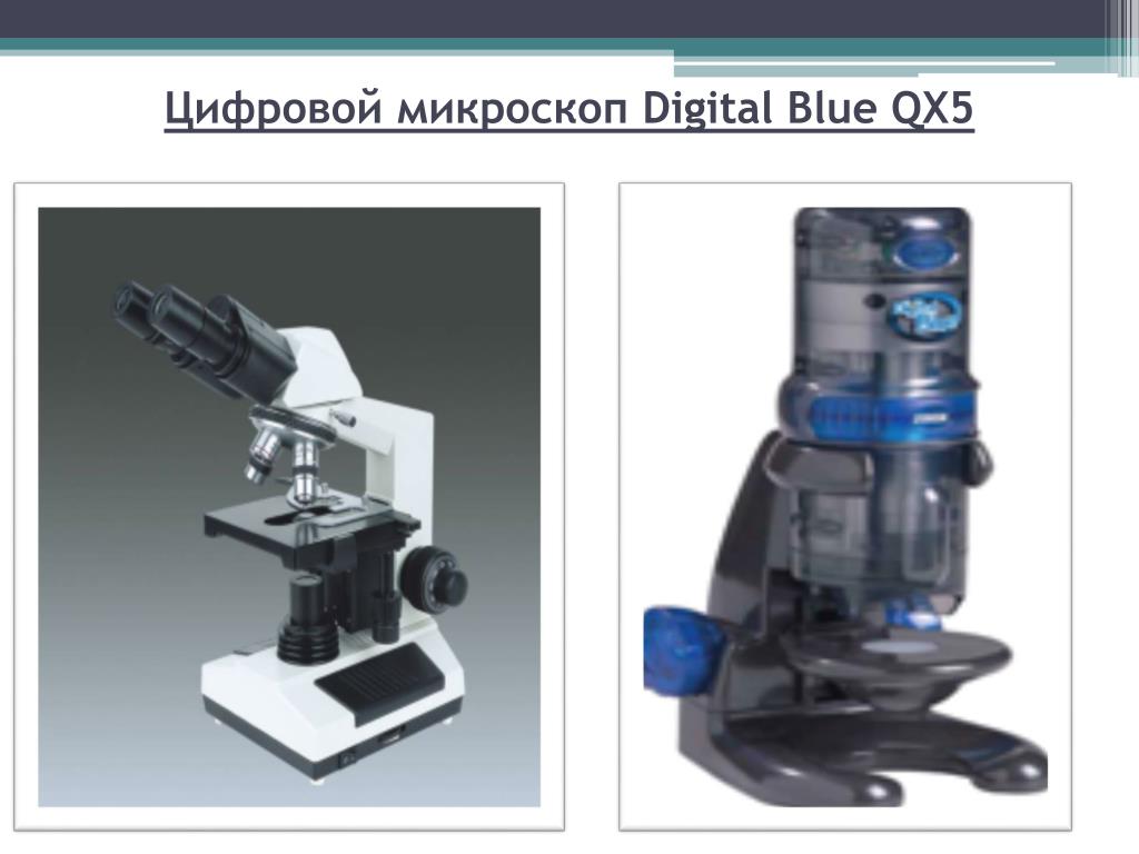 Микроскоп цифровой строение и описание 5 класс. Цифровой микроскоп qx5. Микроскоп qx5 Computer Digital Blue. Цифровой микроскоп Digital Blue qx5. Цифровой микроскоп qx5 детали.