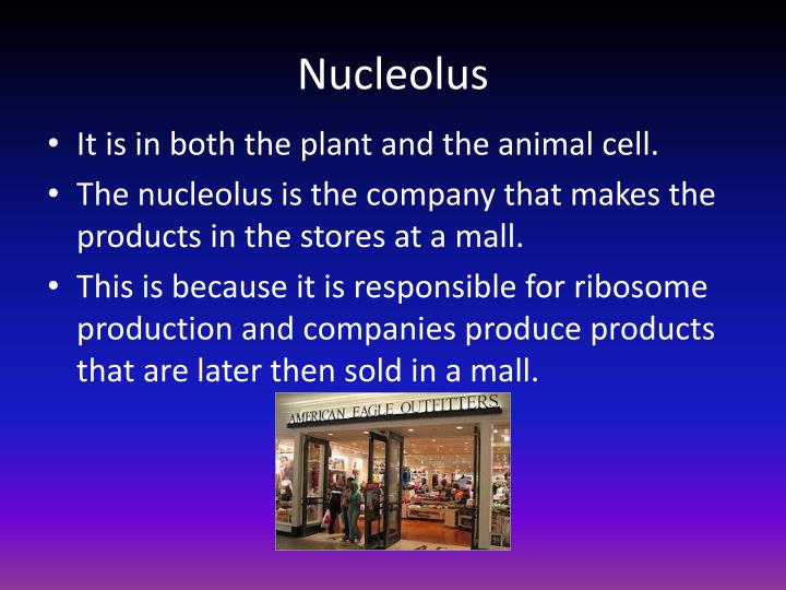 PPT Cell Parts Analogy of a Mall PowerPoint Presentation ID4362512