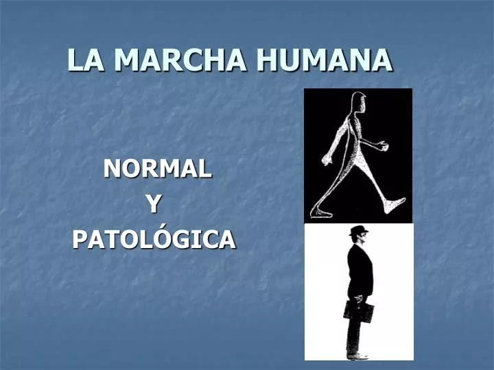 PPT  LA MARCHA HUMANA PowerPoint Presentation, free download  ID4364689