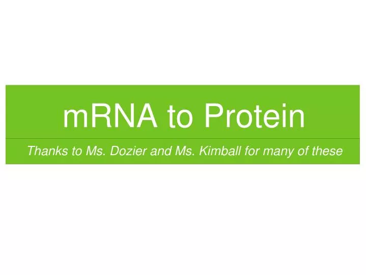 mrna to protein n.