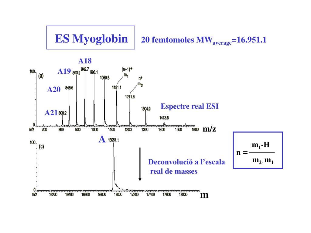 PPT - La Espectrometria de Masas en la Identificación de Proteinas ...
