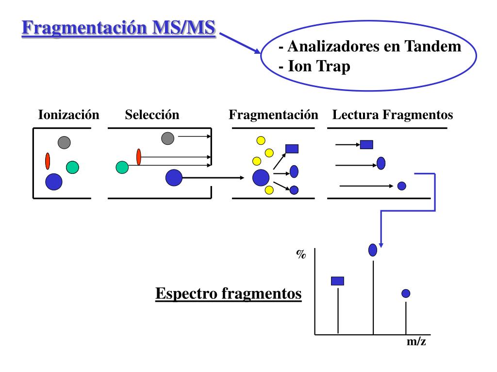PPT - La Espectrometria de Masas en la Identificación de Proteinas ...