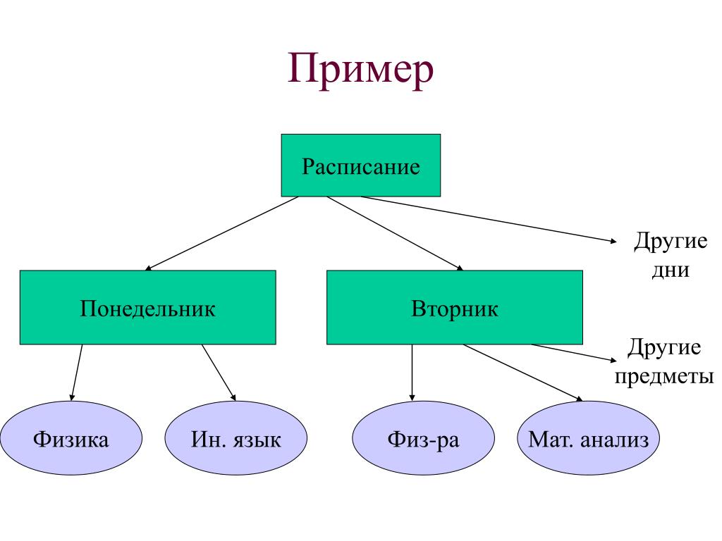 Привести примеры моделей объектов. Пример модели дерева. Модель дерево Информатика. Модели систем дерево. Пример дерева в информатике.