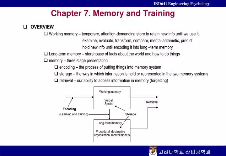 c hapter 7 memory and training n.
