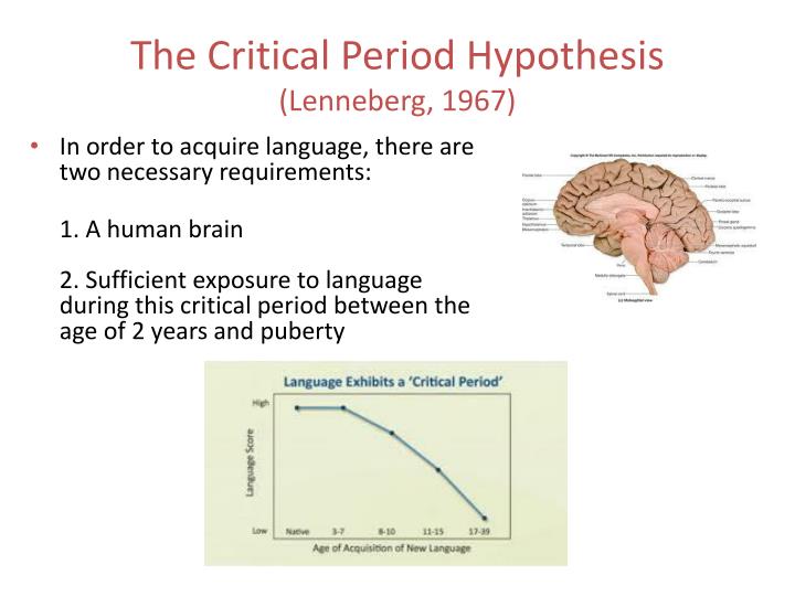 critical period hypothesis lenneberg The critical-period hypothesis for second-language acquisition was tested on data from the 1990 us census using responses from 23 million immigrants with spanish or chinese language backgrounds the analyses tested a key prediction of the hypothesis, namely, that the line regressing second. critical period hypothesis lenneberg The critical-period hypothesis for second-language acquisition was tested on data from the 1990 us census using responses from 23 million immigrants with spanish or chinese language backgrounds the analyses tested a key prediction of the hypothesis, namely, that the line regressing second.