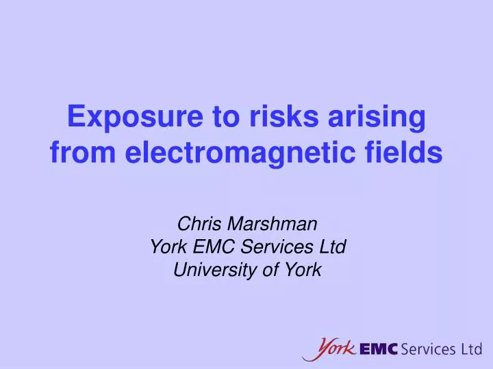 PPT Exposure to risks arising from fields PowerPoint