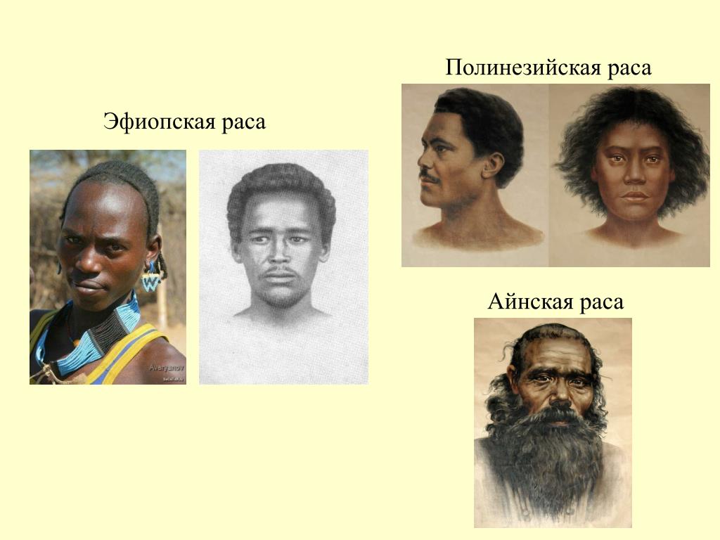 Расы человека кратко. Эфиопская раса. Эфиопскаярасы. Австралоидная раса фото. Дети разных рас.