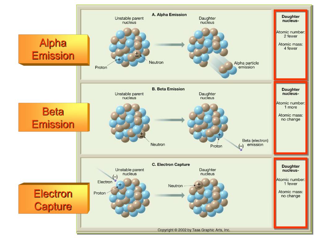 Бета частица и электрон являются. Beta emission. Silver Maple - Particle emission. Electron capture. Hitler Particle emission.