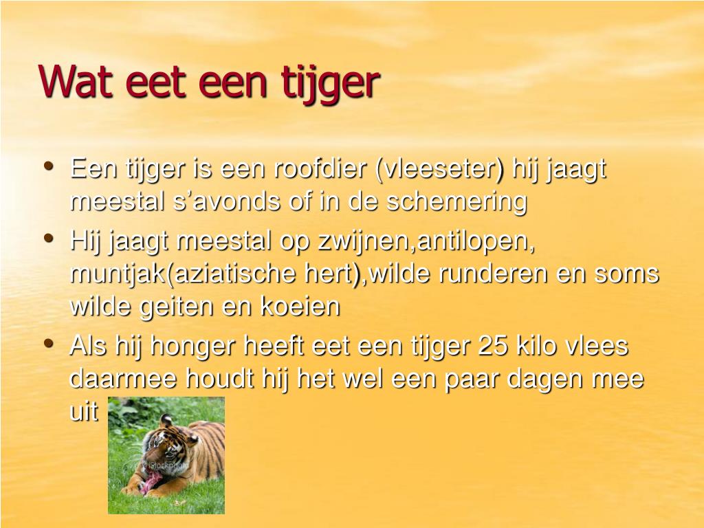 Proberen Document chef PPT - De tijger PowerPoint Presentation, free download - ID:4382439