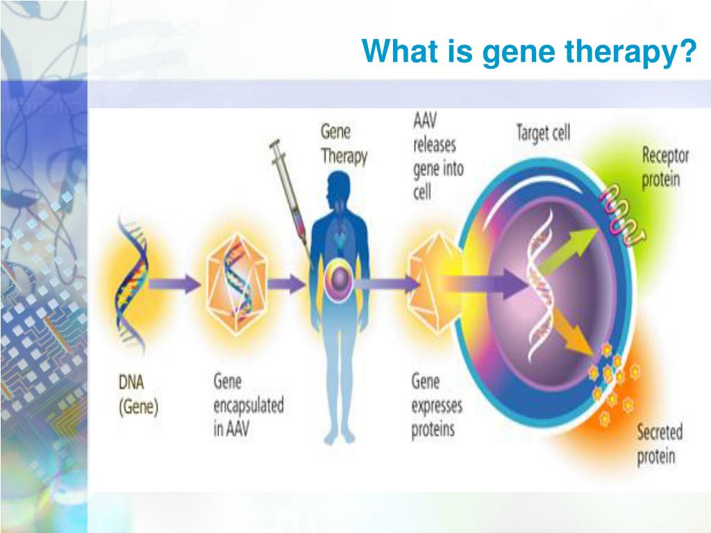 PPT TOPICS IN (NANO) BIOTECHNOLOGY Gene Therapy Lecture 11 PowerPoint