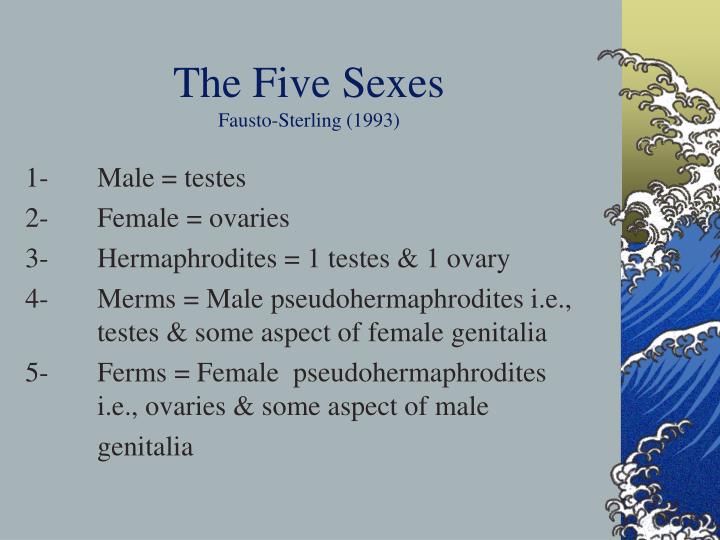 anne fausto sterling s the five sexes essay Anne fausto-sterling, the five sexes: why male and female are not enough, the sciences, 1993-mar/apr, 1993:20-24 responses were printed in the jul/aug issue the article was reprinted on the new york times op-ed page on 1993-mar-12. anne fausto sterling s the five sexes essay Anne fausto-sterling, the five sexes: why male and female are not enough, the sciences, 1993-mar/apr, 1993:20-24 responses were printed in the jul/aug issue the article was reprinted on the new york times op-ed page on 1993-mar-12.