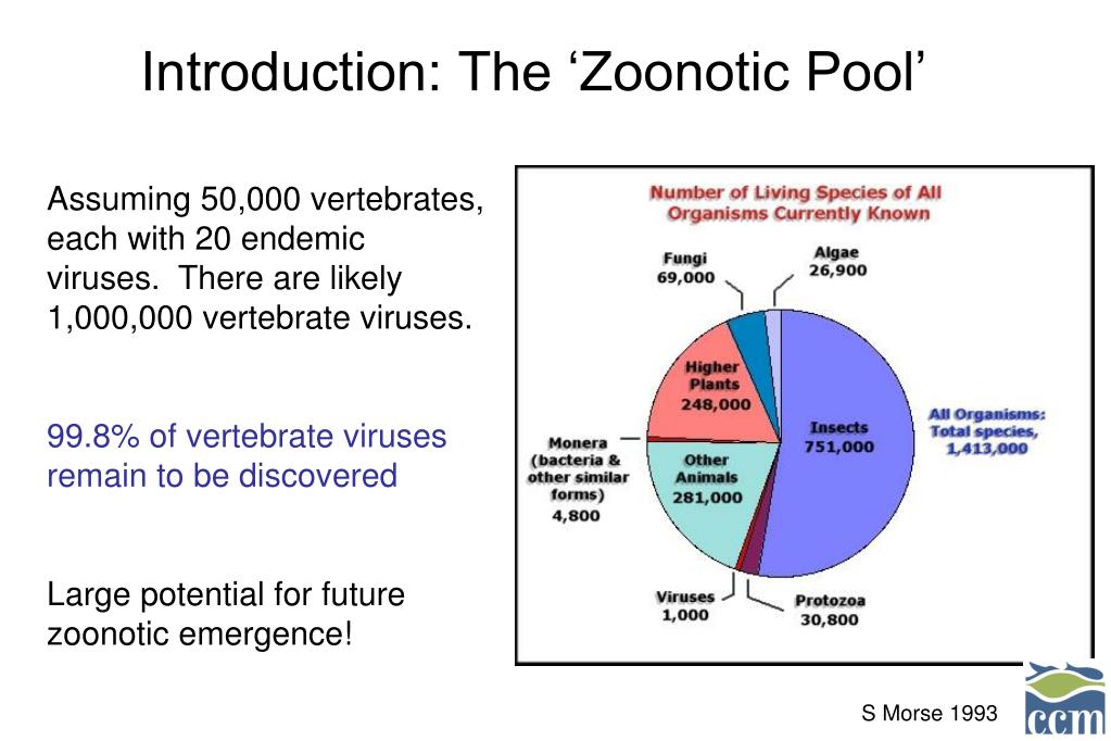 PPT - A Global Perspective on Emerging Mosquito-Borne Diseases