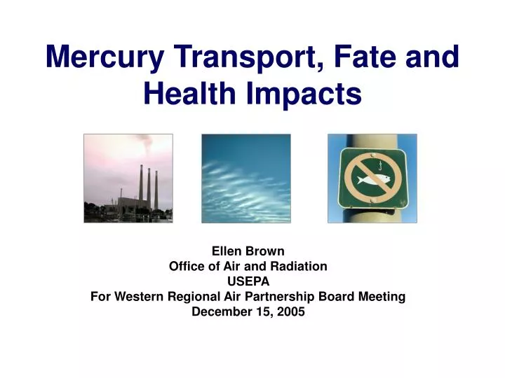 mercury transport fate and health impacts n.