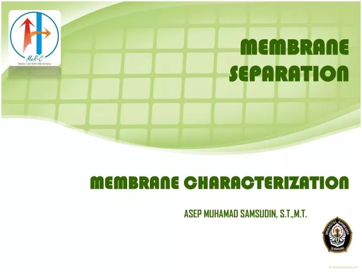 membrane characterization n.