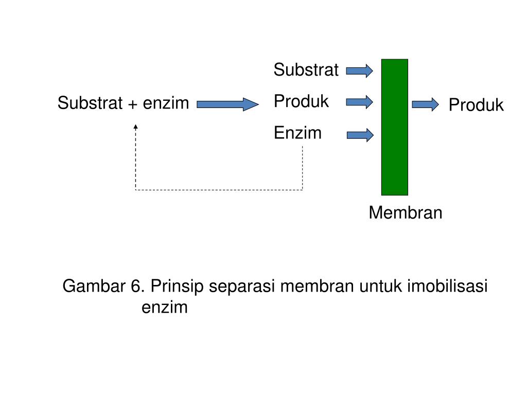 PPT MEMBRANE TECHNOLOGY PowerPoint Presentation free PPT MEMBRANE TECHNOLOGY PowerPoint Presentation free