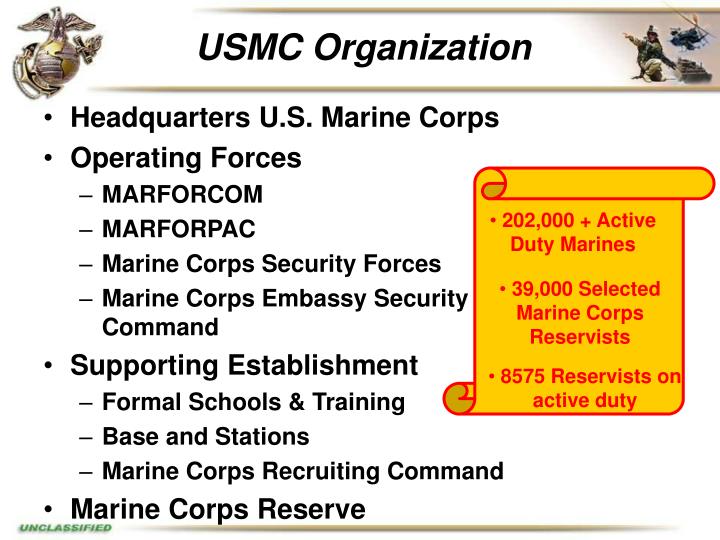 PPT - UNITED STATES MARINE CORPS LOGISTICS: PowerPoint Presentation ...