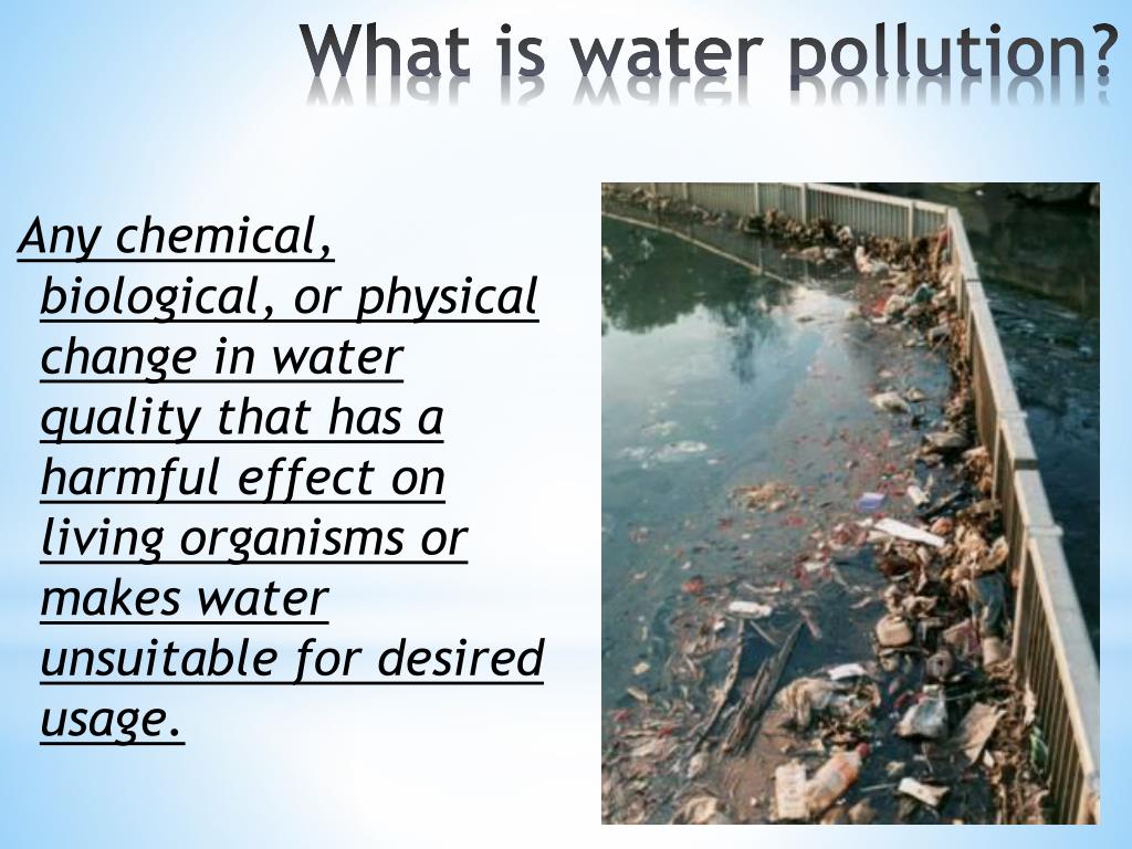 Water pollution can wipe out drink