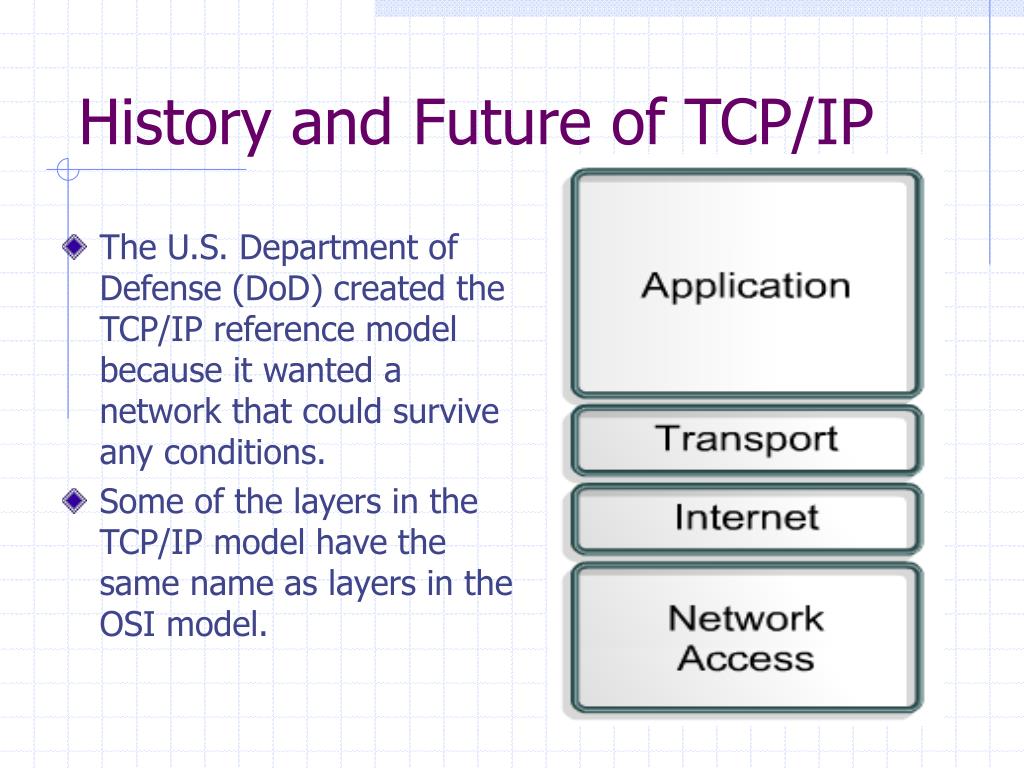 Ppt Ccna V Module Tcp Ip Protocol Suite And Ip Addressing Powerpoint Presentation Id