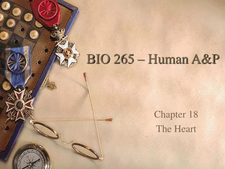 bio 265 human a p n.