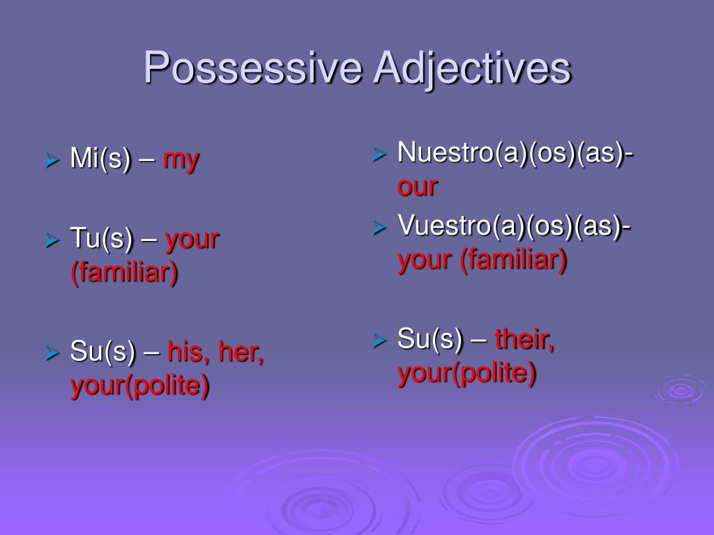 PPT - 4B – Possessive adjectives PowerPoint Presentation, free download ...