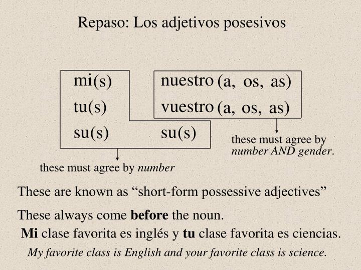 ppt long form possessive adjectives and pronouns powerpoint long form possessive adjectives
