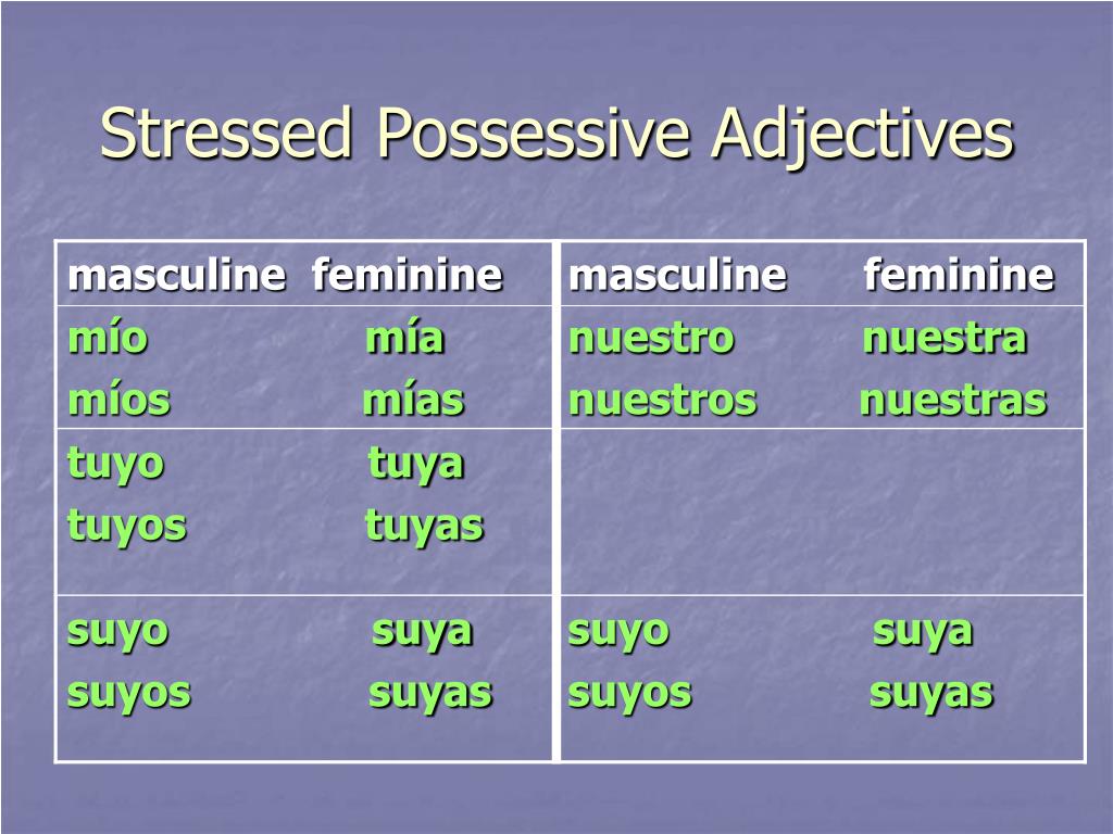 Stressed Possessive Adjectives Spanish Worksheet Pdf