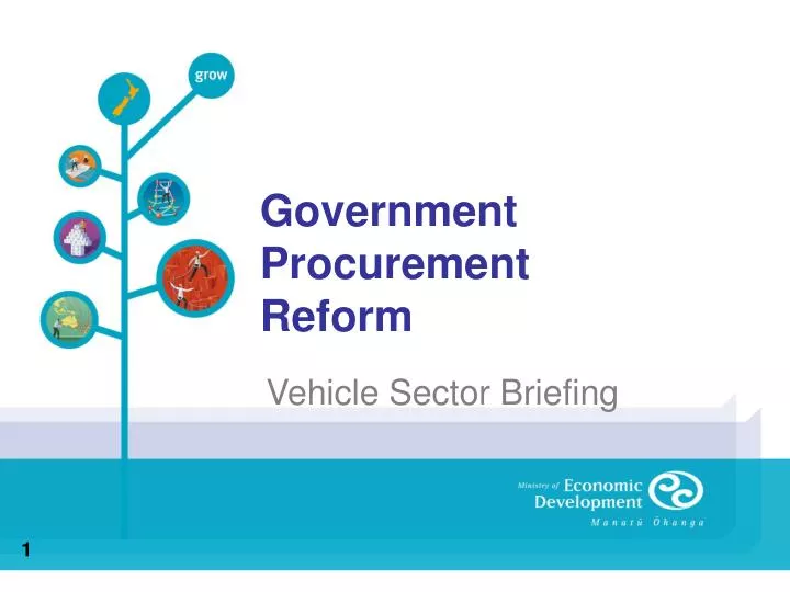 government procurement reform n.