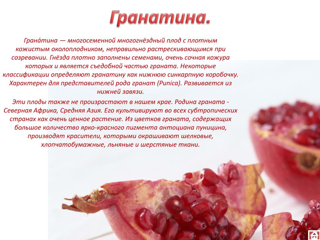 Снится граната фрукт Снится граната фрукт
