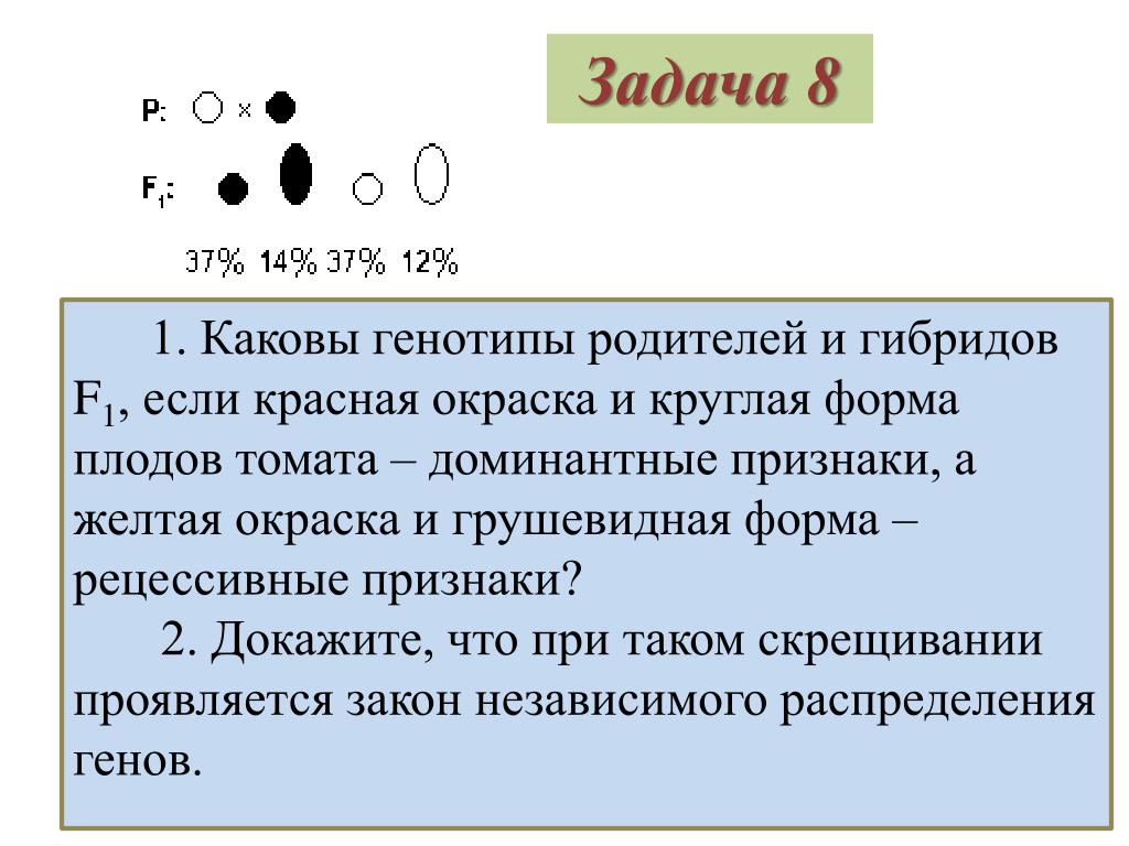 Признак у гибридов f1. Круглая форма плода томата доминирует. Каковы генотипы родителей. Генотипы родителей помидоры круглая форма. У томатов круглая форма плодов а доминирует.