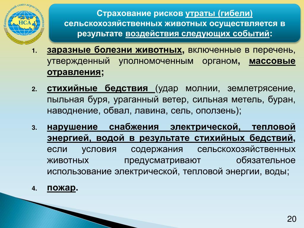 Страхование риска утраты. Страхование сельскохозяйственных животных. Страховые риски сельскохозяйственных животных. Страхование сельскохозяйственных рисков. Страхование сельхоз животных.