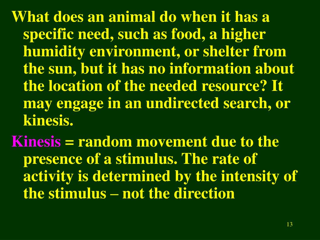 PPT - Animal Orientation PowerPoint Presentation, free download - ID:4396164