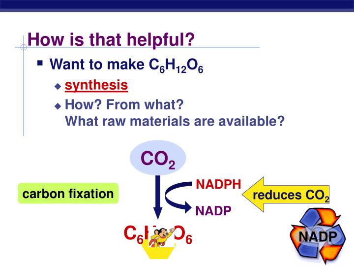 how is photosythesis helpful Photosynthesis produces glucose and oxygen these are both required by humans for the process of respiration, which is how humans make the energy required to perform all cellular activities without access to the products of photosynthesis, the human race would cease to exist photosynthesis is a. how is photosythesis helpful Photosynthesis produces glucose and oxygen these are both required by humans for the process of respiration, which is how humans make the energy required to perform all cellular activities without access to the products of photosynthesis, the human race would cease to exist photosynthesis is a.