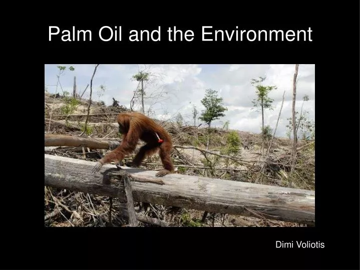 palm oil and the environment n.