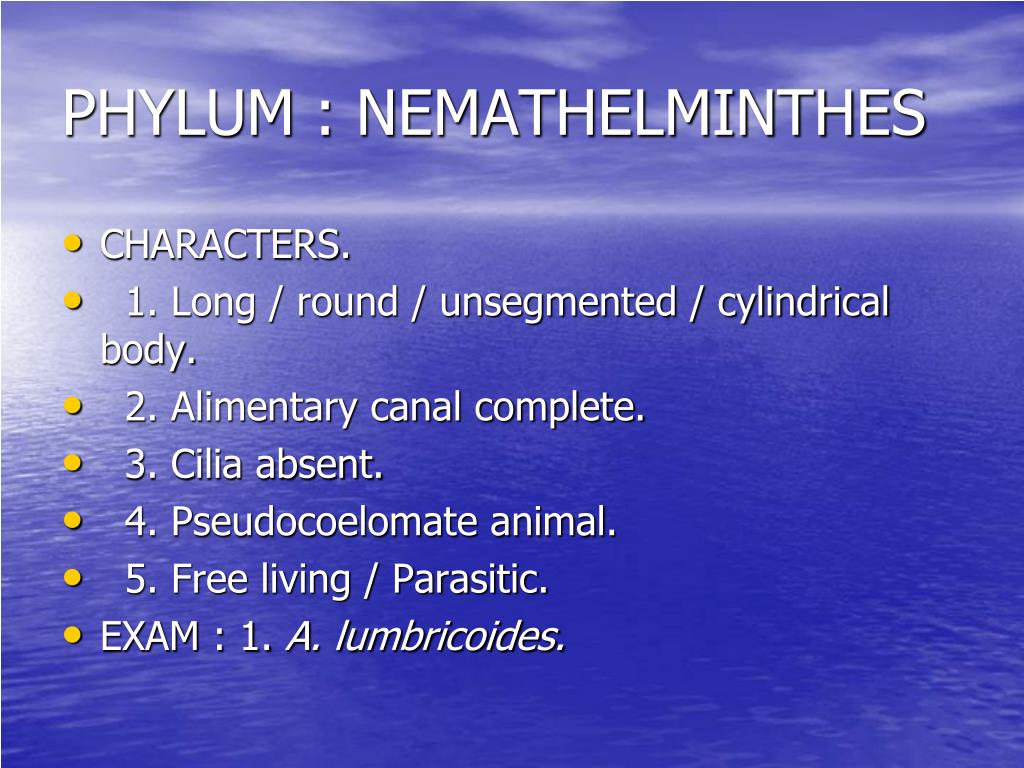 phylum nemathelminthes ppt)