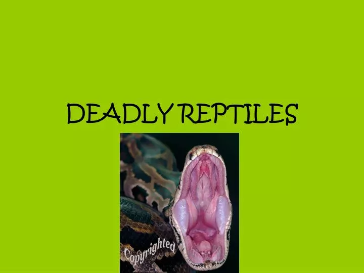 deadly reptiles n.