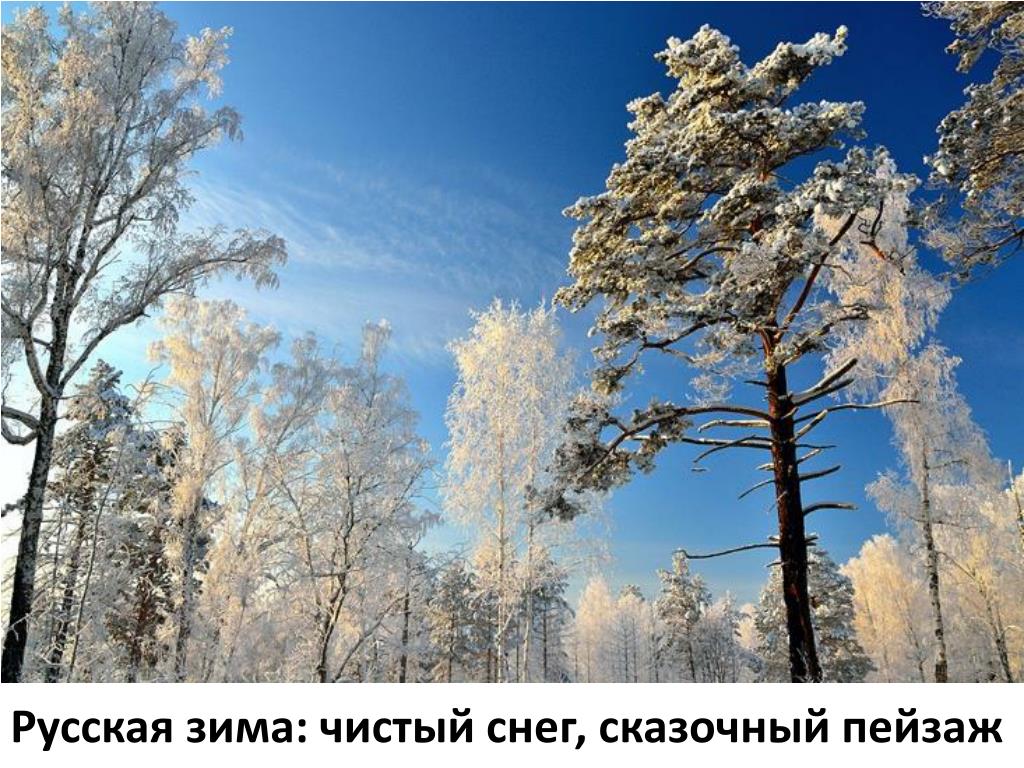 Зима воздух. Чистый снег. Чистый воздух чистый снег. Презентация на тему чистый воздух чистый снег. Проект русская зима.