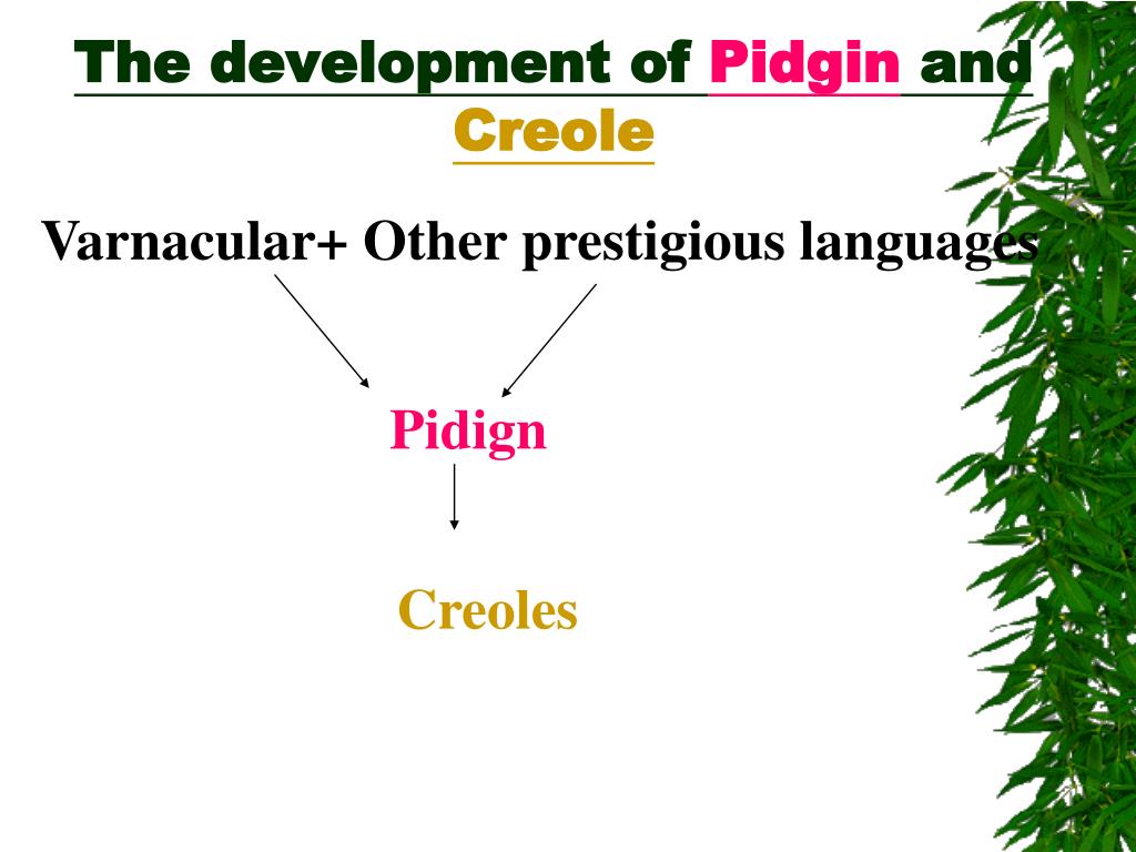 pidgin and creole linguistics