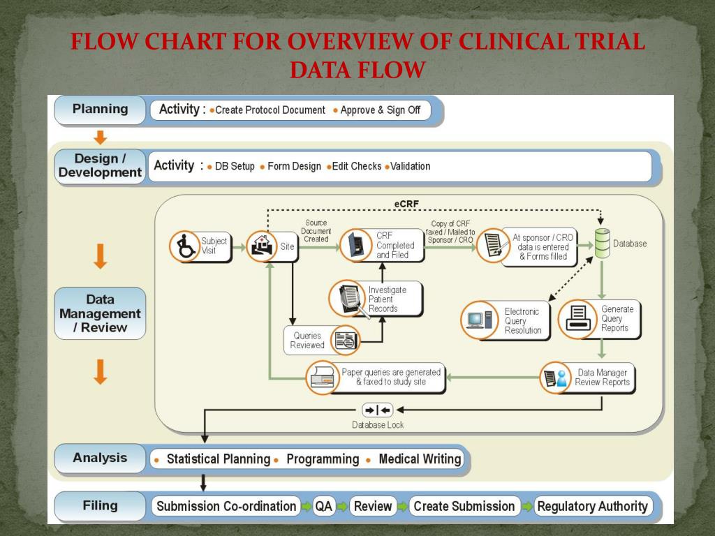 Cdm Process Flow Chart