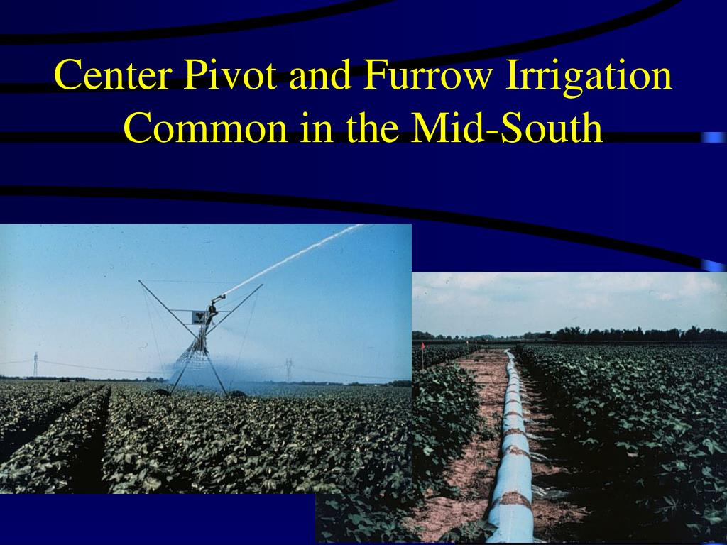PPT Drip Irrigation Research in Arkansas PowerPoint Presentation
